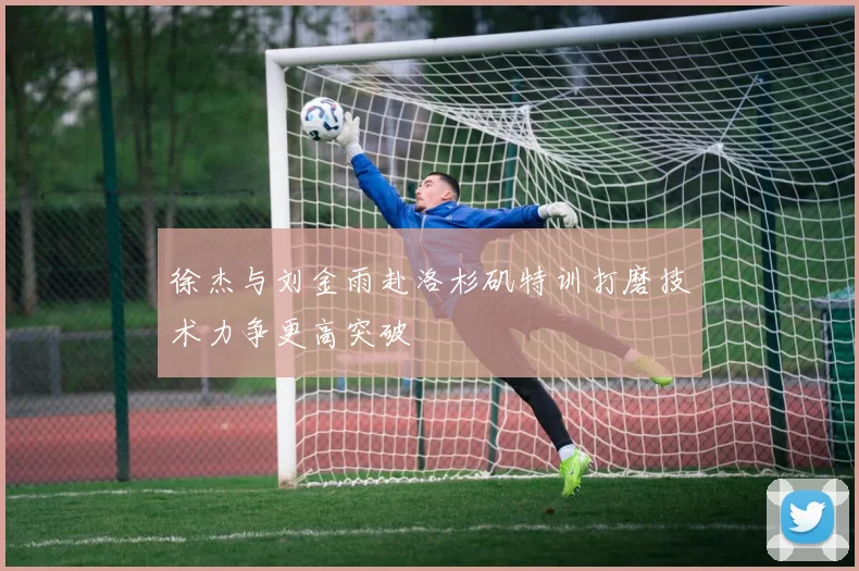 徐杰与刘金雨赴洛杉矶特训打磨技术力争更高突破