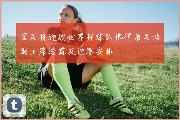 国足将迎战世界杯球队佛得角足协副主席透露友谊赛安排