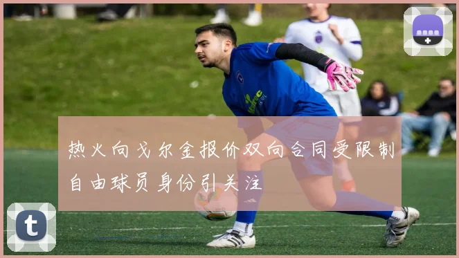 热火向戈尔金报价双向合同受限制自由球员身份引关注