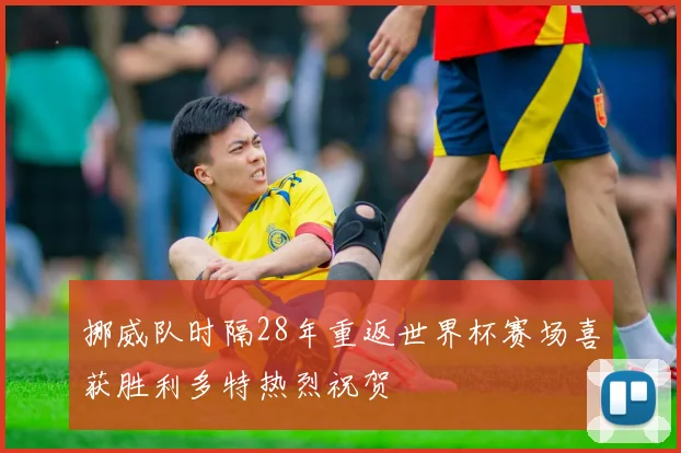 挪威队时隔28年重返世界杯赛场喜获胜利多特热烈祝贺